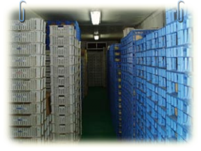 almacenamiento del queso