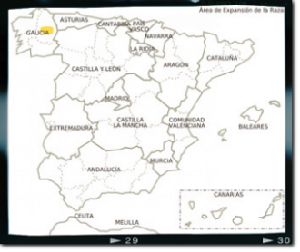 Crianza porcino blanco belga